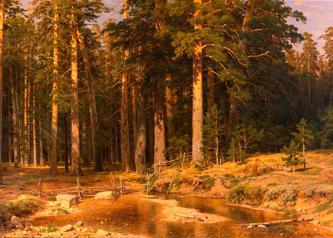 Pine Forest Stream