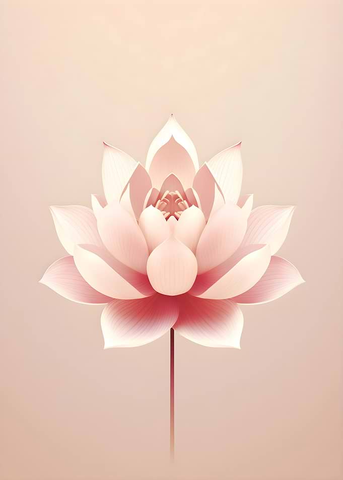 Pink Lotus Flower