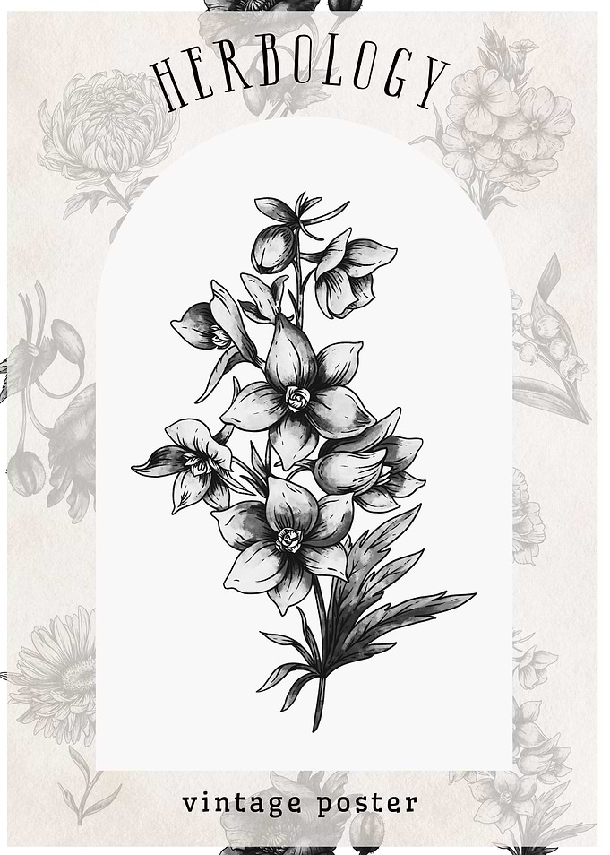 Vintage Herbology Poster july bithflower