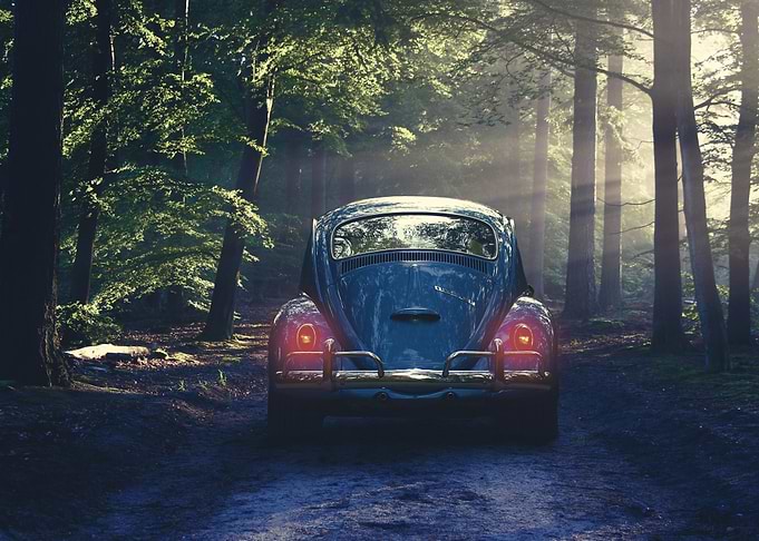 Vintage Beetle in Forest