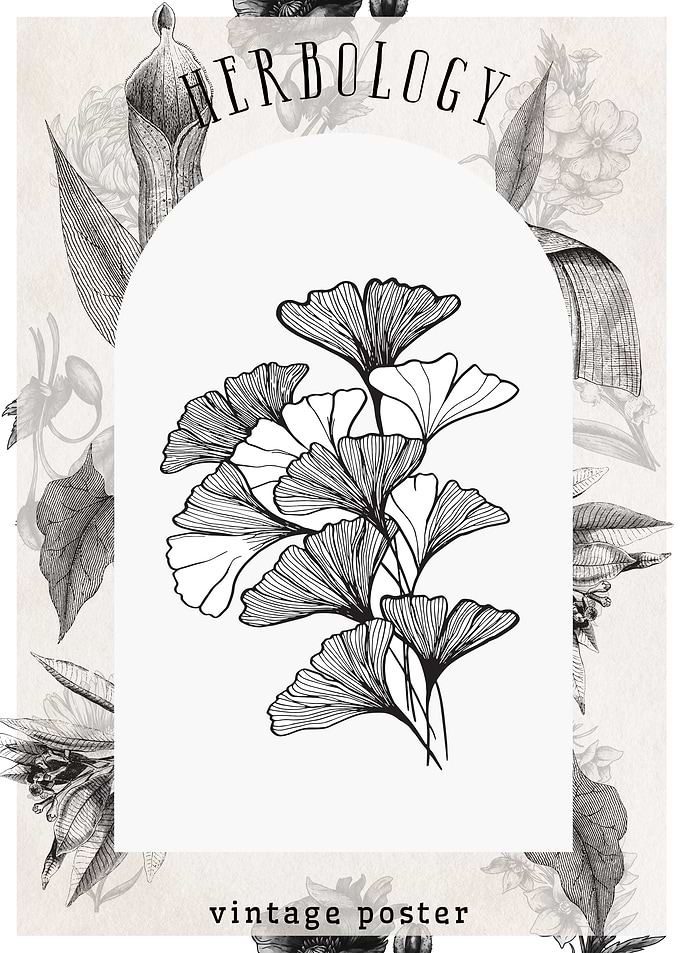 Ginkgo Biloba Vintage Poster