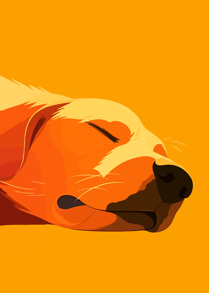 Funny Sleepy Golden Retriever Dog Cute Minimalist Art Illustration