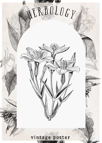 Vintage Herbology Poster