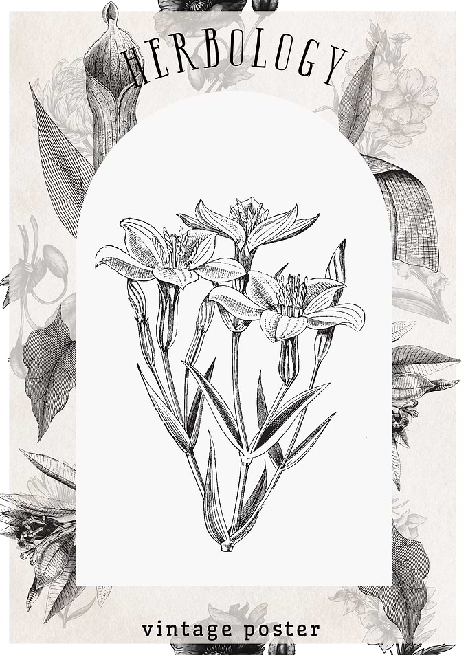 Vintage Herbology Poster