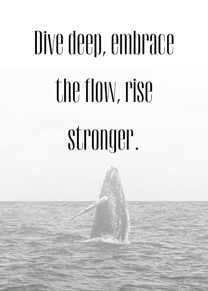 Humpback Whale Inspirational Quote
