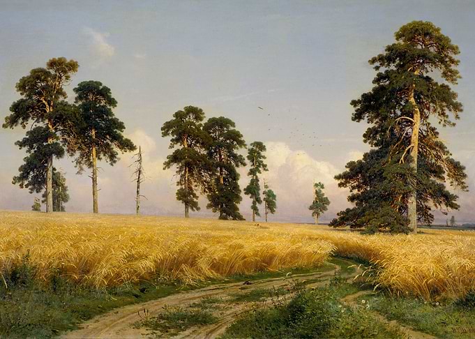 Golden Wheat Field Landscape