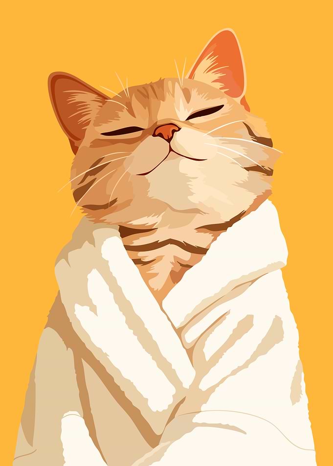 Cute Cat Kitten in Robe Funny Minimalist Art Illustration