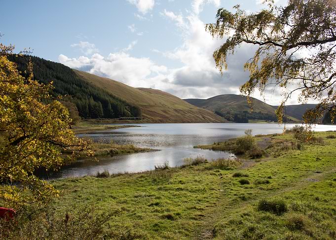 Scenic Lake Landscape with Autumn Foliage
