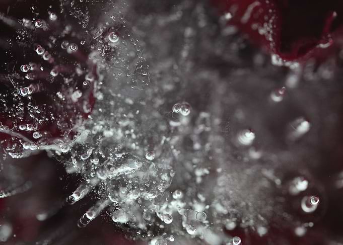 Frozen Flower with Bubbles