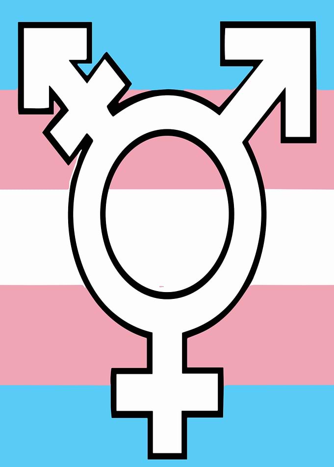 Transgender Symbol on Flag