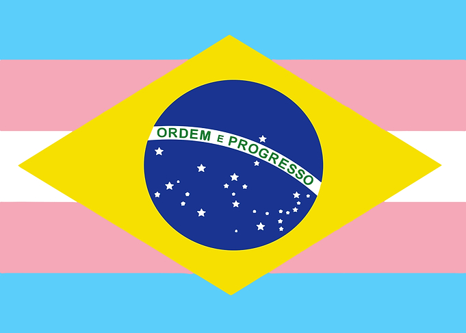 Brazilian Flag with Transgender Colors