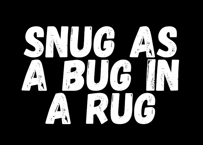 Snug as a Bug in a Rug