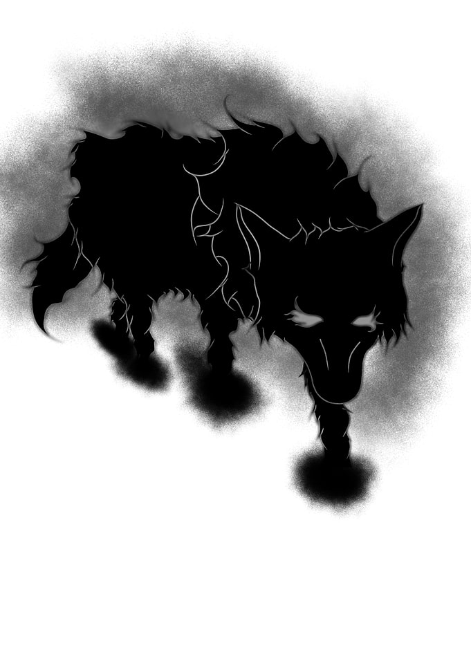 Shadow Wolf Illustration