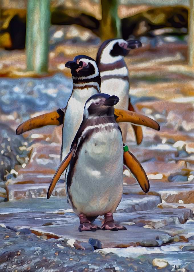 Penguin Brotherhood