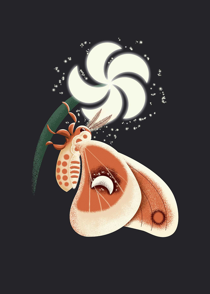 Magical Night Butterfly