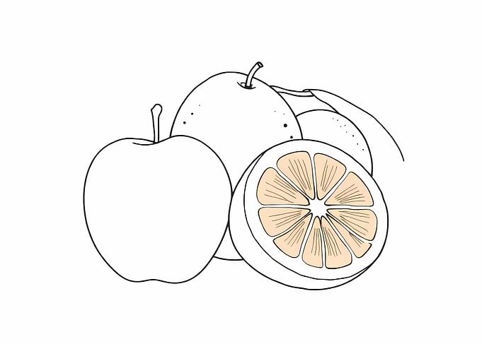Apple and Orange Line Art