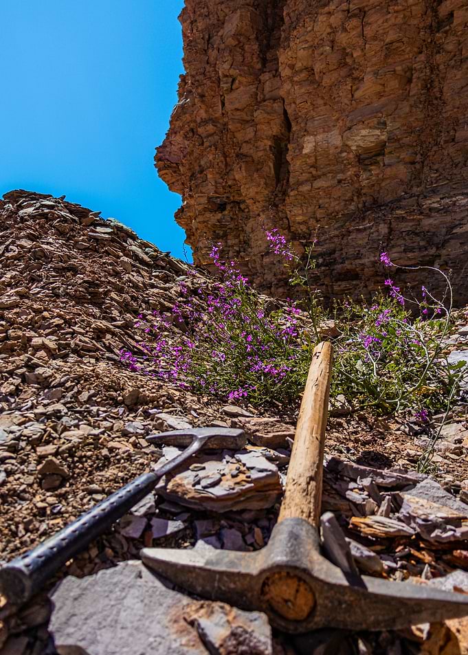 Geologic hammer, pickaxe, and blue sky on the field