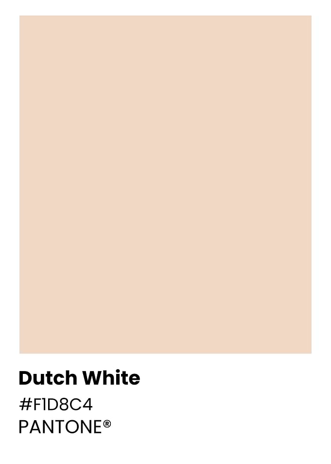 Dutch White Pantone Color Swatch