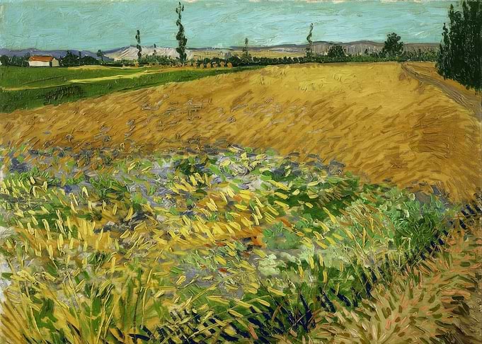 Wheatfield with Green Wheat, Van Gogh
