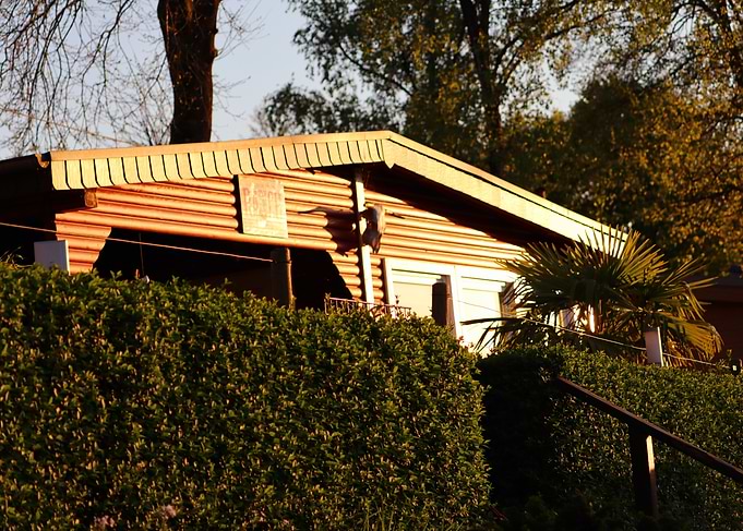 Wooden Cabin Behind Green Hedge