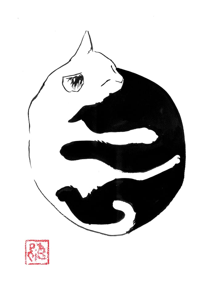 Yin Yang Cat Ink Drawing