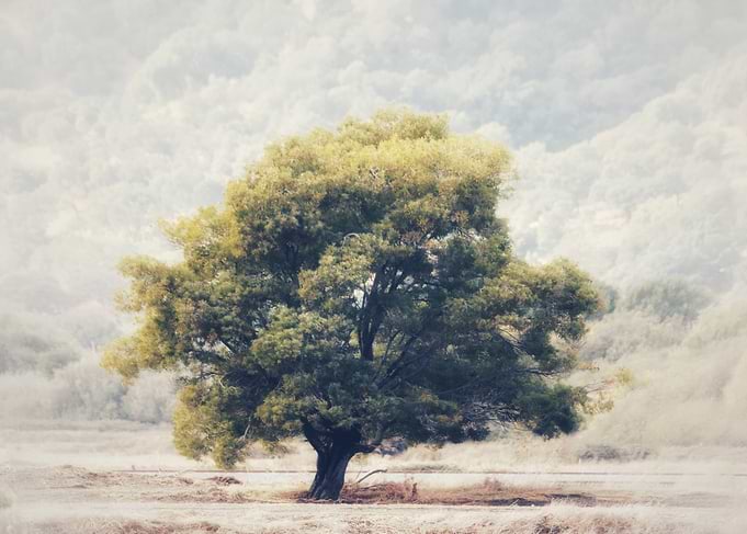 Alone