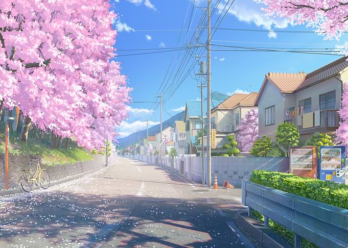 Cherry Blossom Street