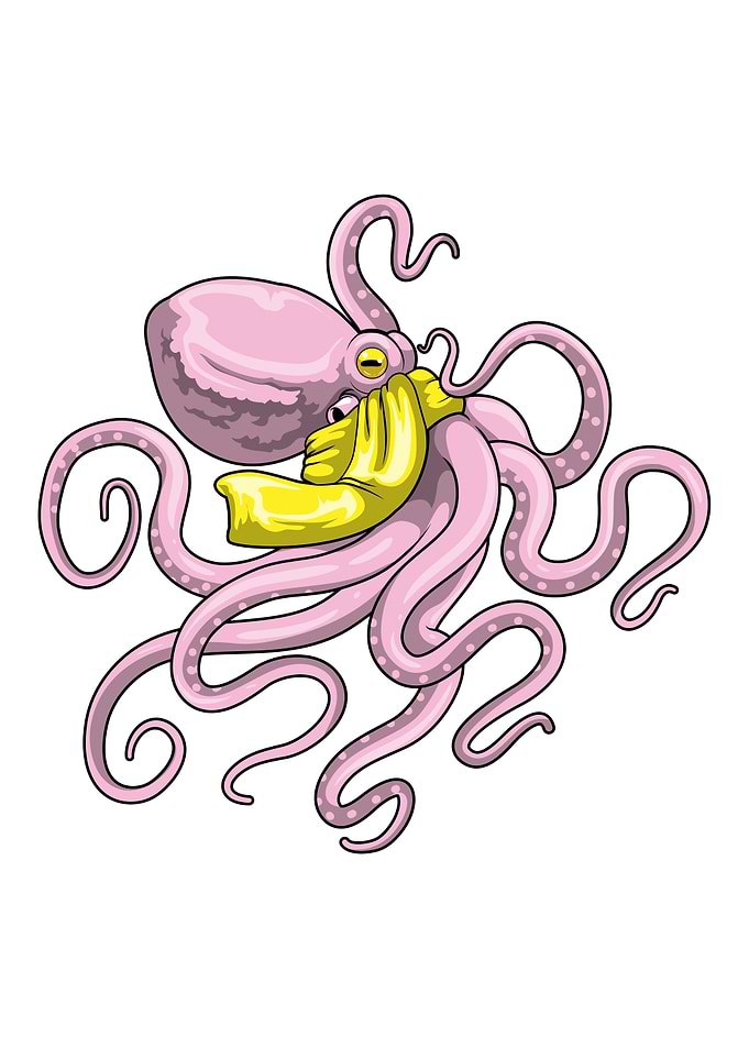 Octopus Scarf