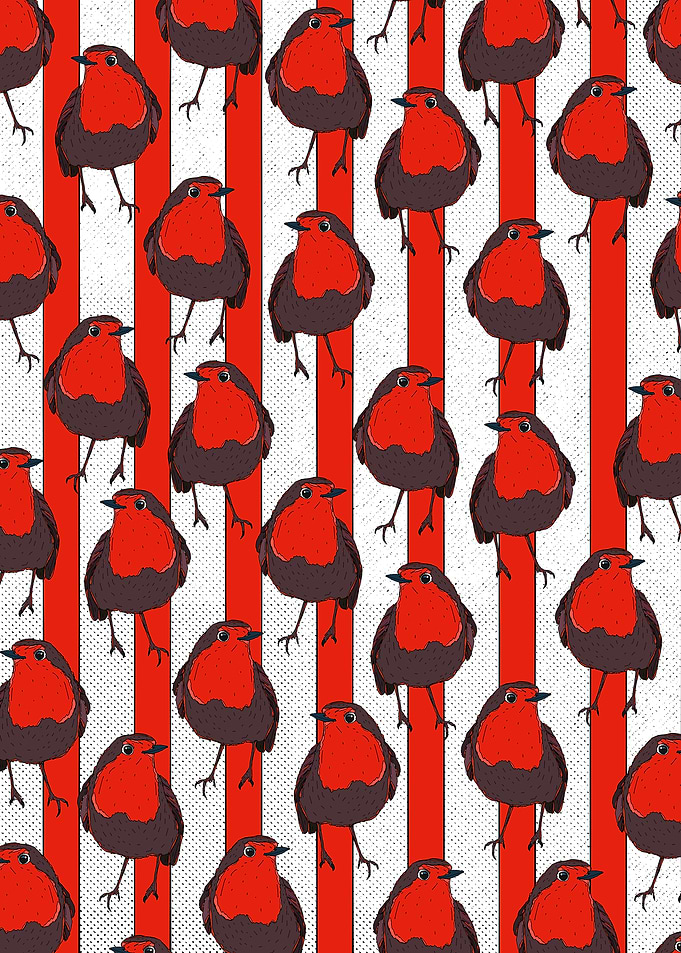 Robin Bird Red Stripe Pattern