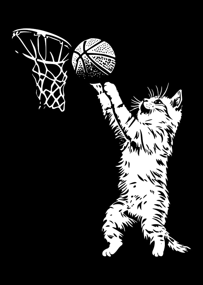 Cat playing basketball monochrome illustration