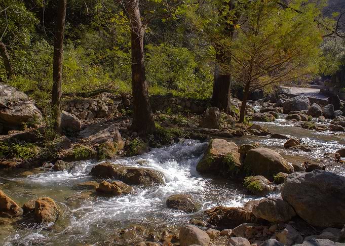 Rocky River in Forest