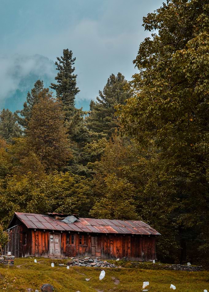 Rustic Cabin in Forest Landscape