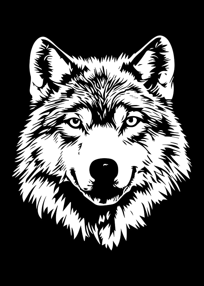 Wolf Head Black and White