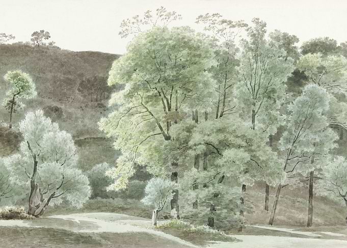 Trees in the Subiaco Area