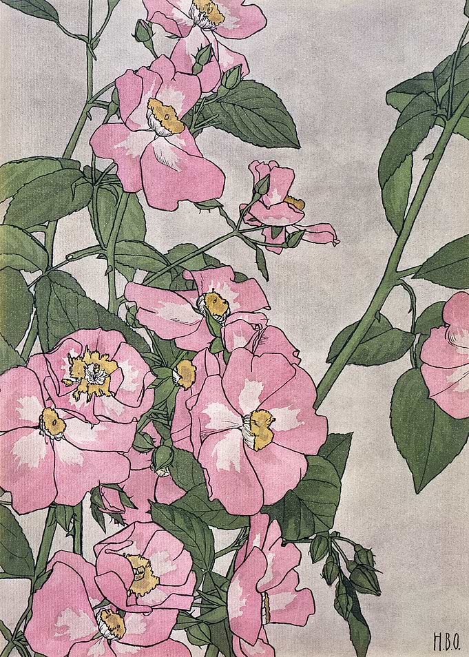 Pink Roses Botanical Art Print