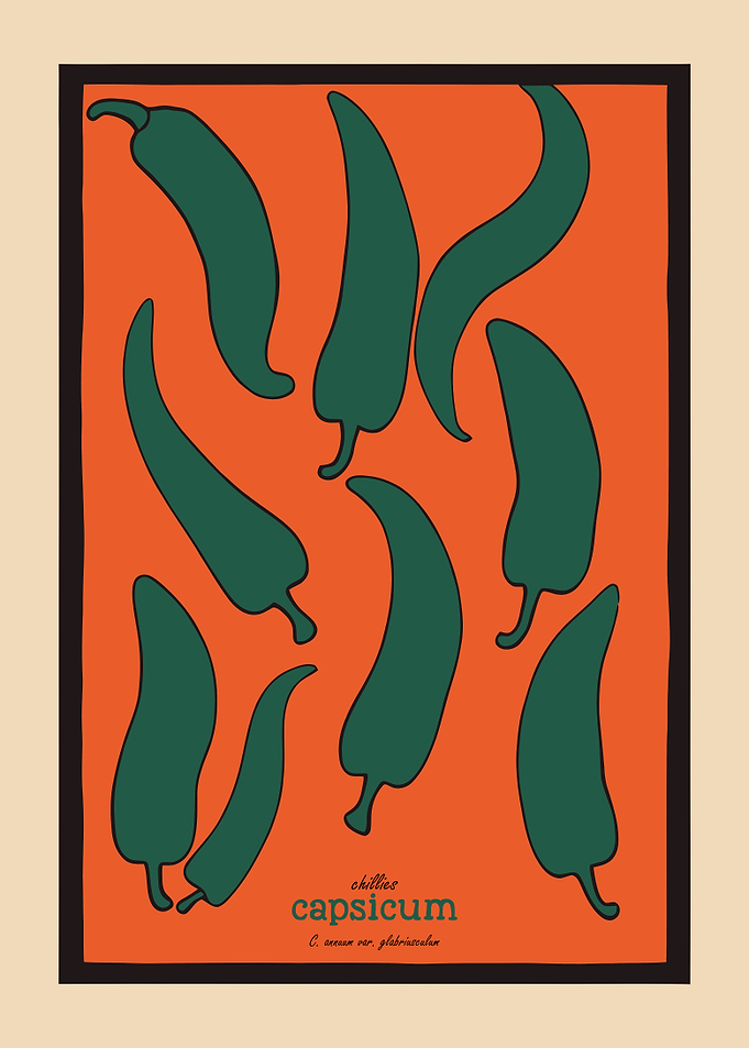Chili Pepper Illustration