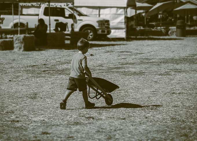 Boy with Wheelbarrow