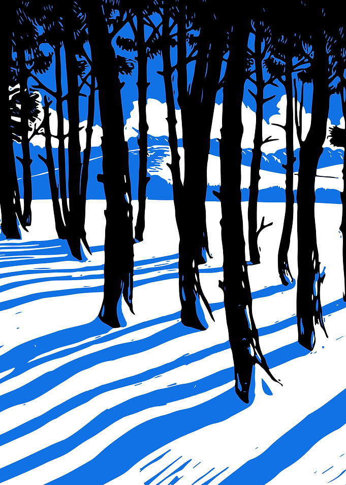 Winter Forest in Blue and Black