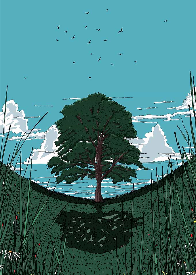 Lone Tree in a Field