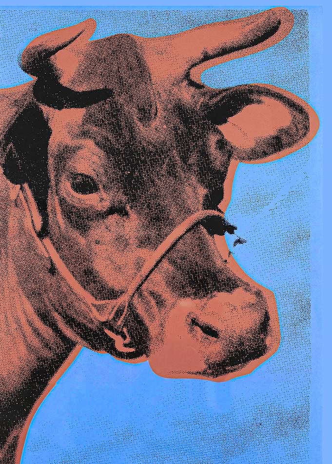 COW BB | Warhol Style