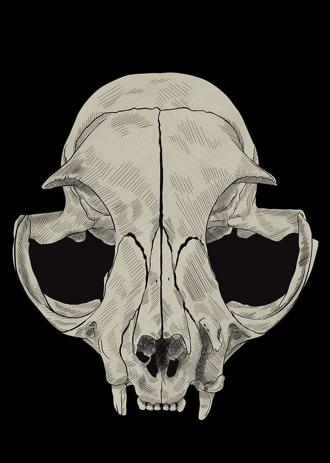 Cat Skull