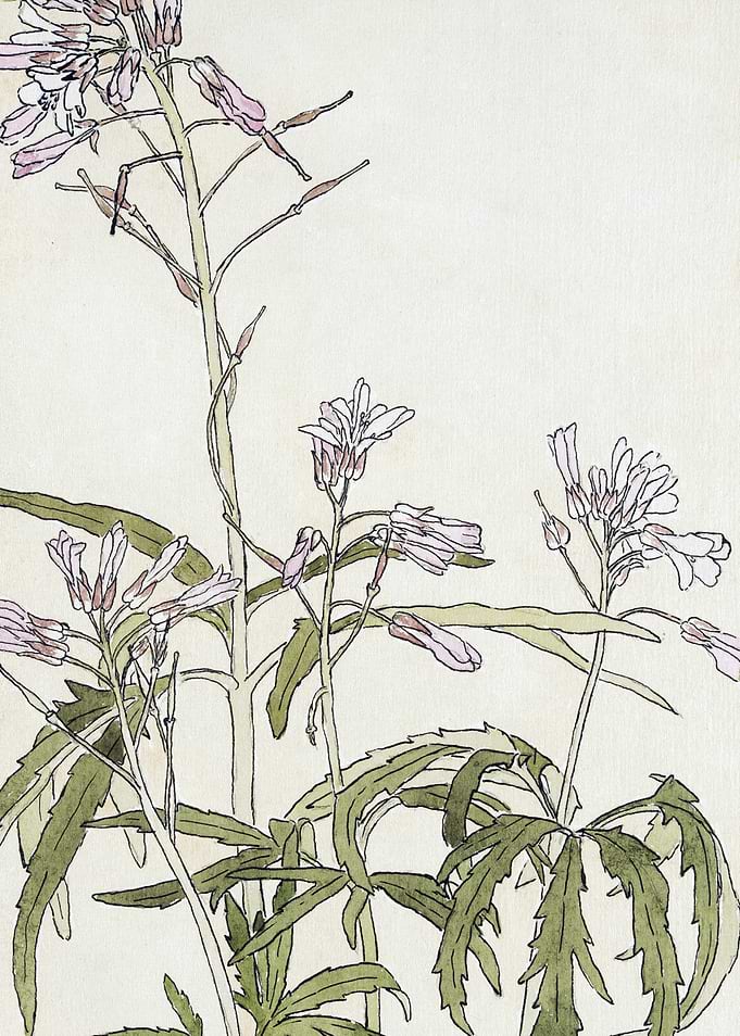 Floral Illustration with Pink Flowers