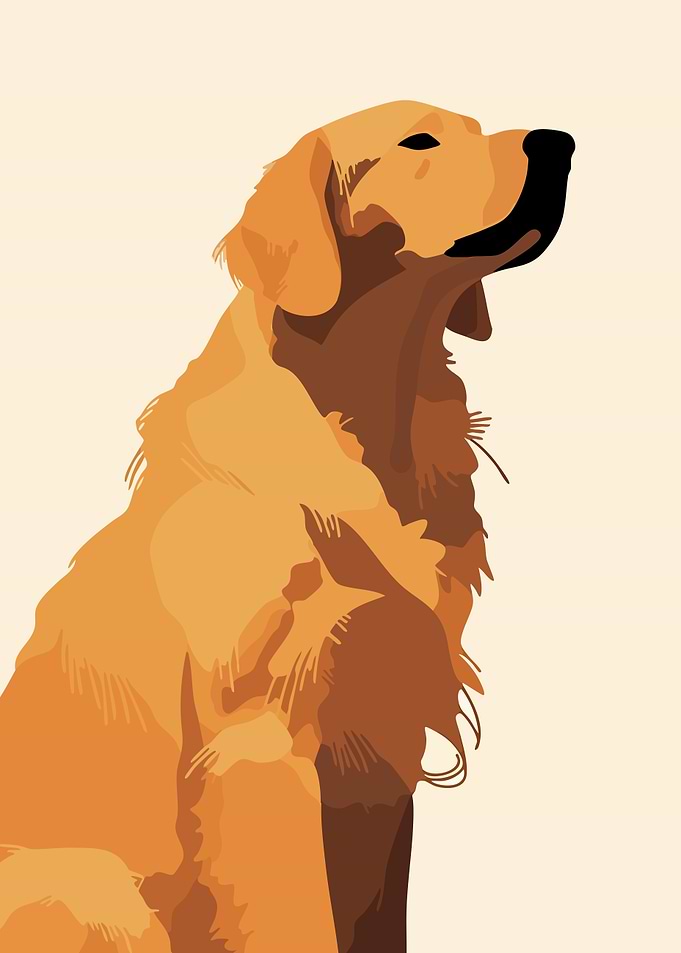 Minimalist Golden Retriever Artwork Illustration