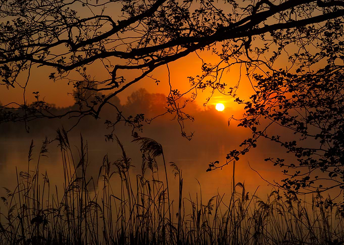 Golden Sunrise over Misty Lake