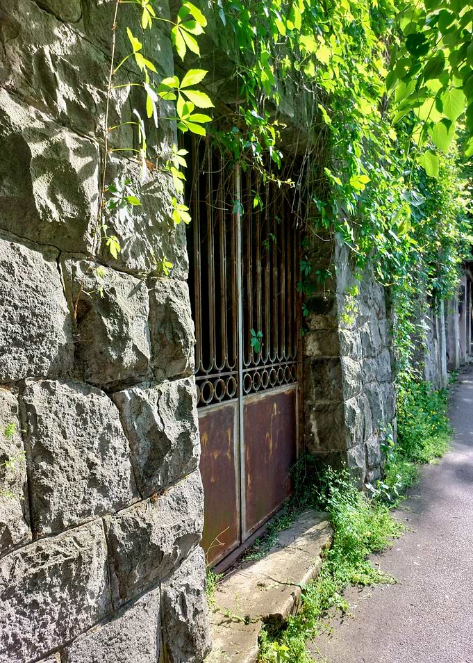 Stone wall with gate and vines