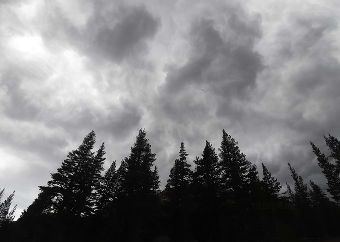 Dark Sky Over Forest