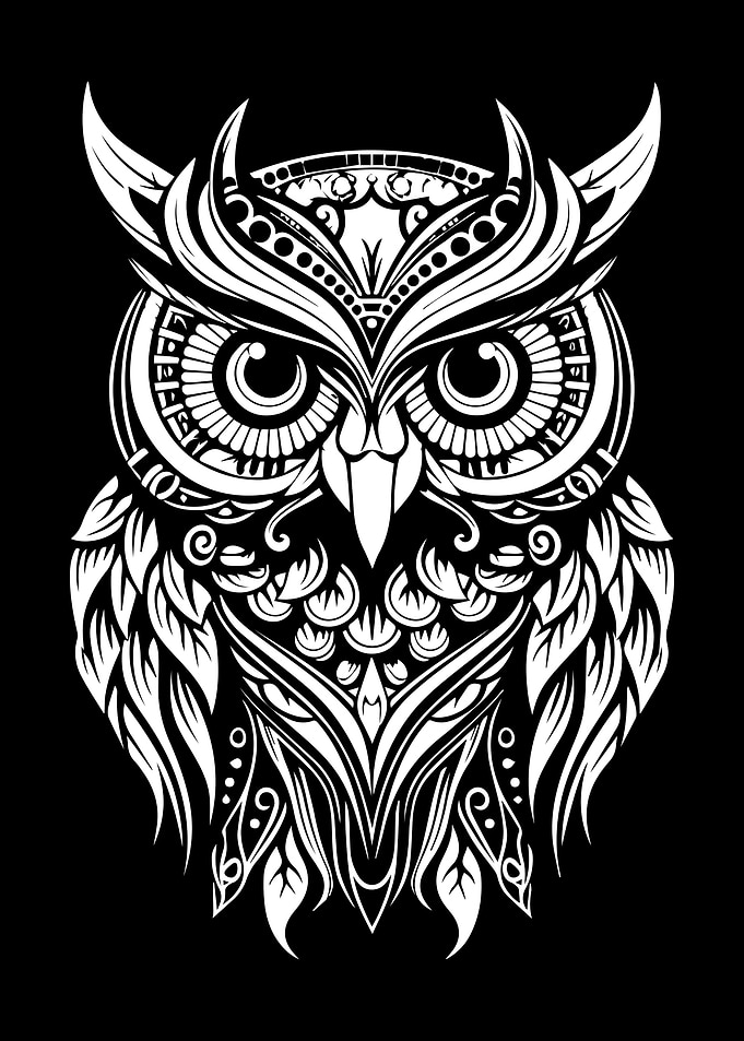 Ornate White Owl on Black Background