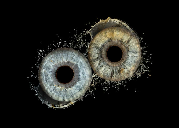 Two Irises with Water Splash