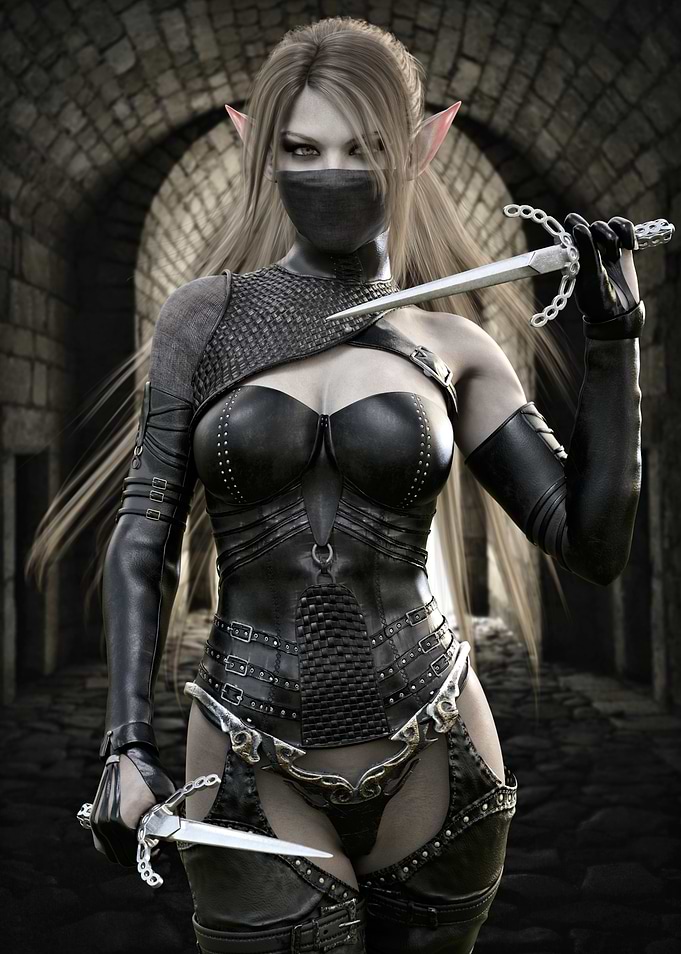 Elf Assassin with Daggers