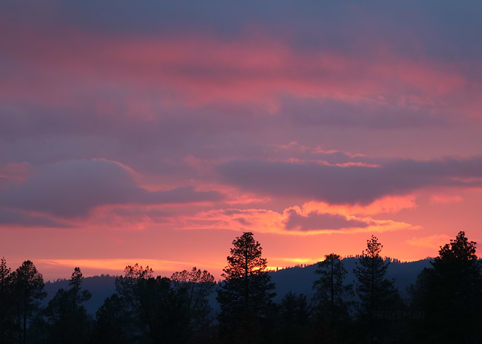 Sunset over trees